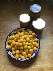 Mehr über den Artikel erfahren Sommer zum Löffeln: Meine goldene Mirabellenmarmelade – einfaches Rezept